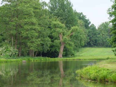 Alman muensterland yaz aylarında