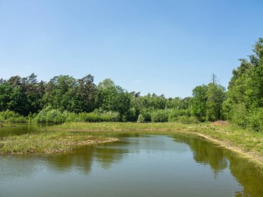 Alman muensterland yaz aylarında