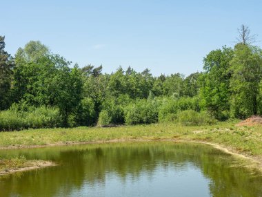 Alman muensterland yaz aylarında