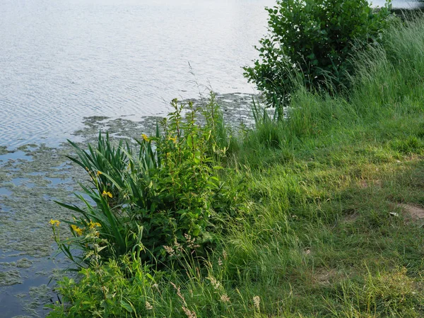 Verano Lago Alemania — Foto de Stock