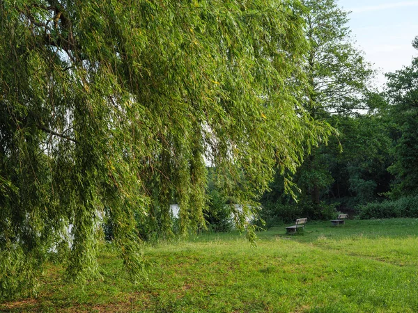 Zomer Een Meer Duitsland — Stockfoto