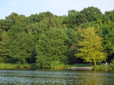 Yaz Almanya'da bir gölde