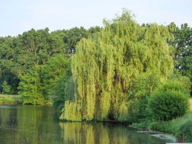 Yaz Almanya'da bir gölde