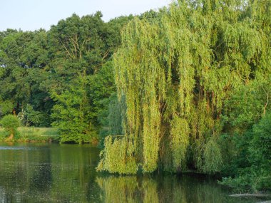 Yaz Almanya'da bir gölde