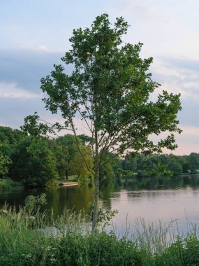 Yaz Almanya'da bir gölde