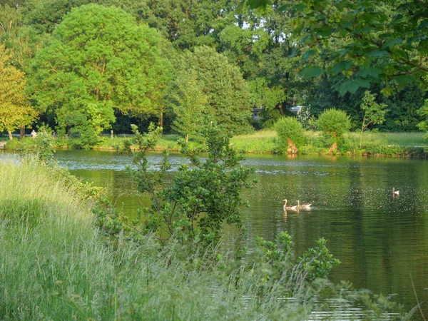 Yaz Almanya'da bir gölde