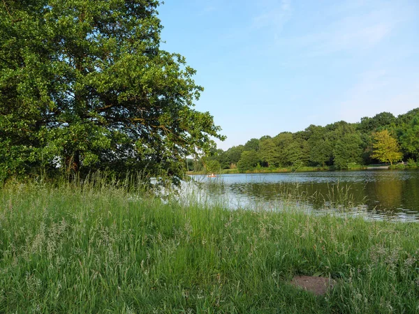 Yaz Almanya'da bir gölde