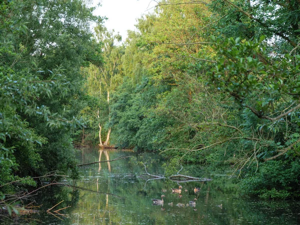 Yaz Almanya'da bir gölde