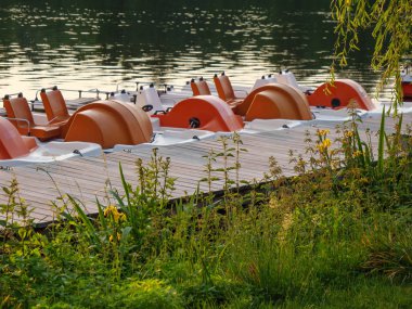 Yaz Almanya'da bir gölde