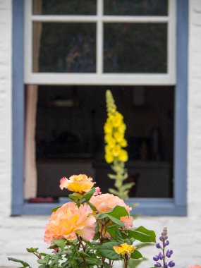 Kuzey denizindeki juist adası.