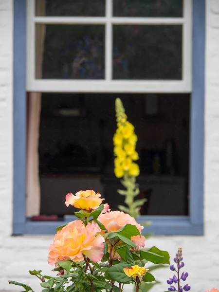 Kuzey denizindeki juist adası.