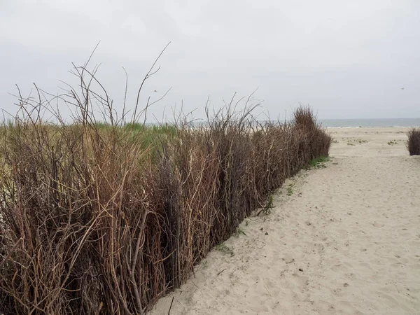 Kuzey denizindeki juist adası.