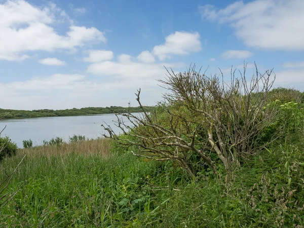 Kuzey denizindeki juist adası.