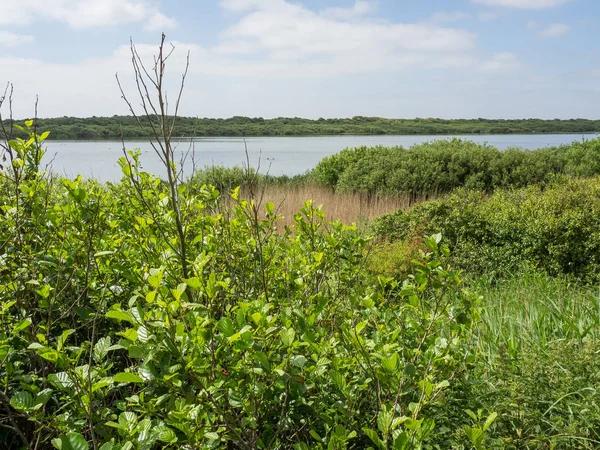 Kuzey denizindeki juist adası.