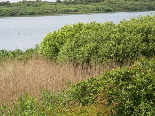 Kuzey denizindeki juist adası.