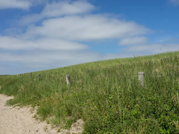 Kuzey denizindeki juist adası.
