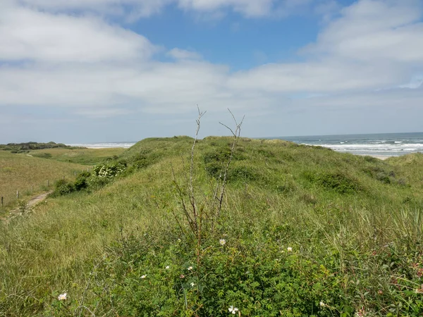Kuzey denizindeki juist adası.