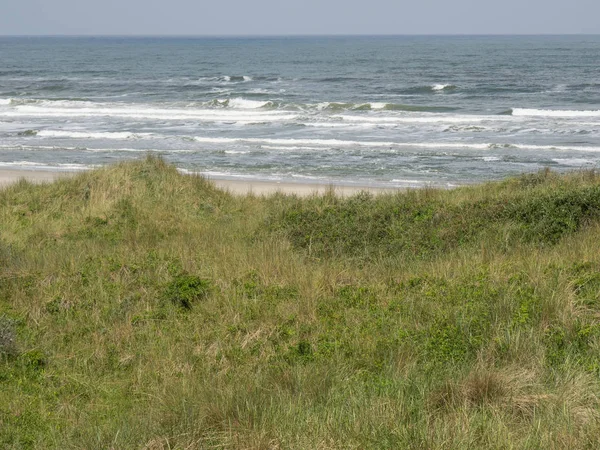 Insel Juist Der Nordsee — Stockfoto