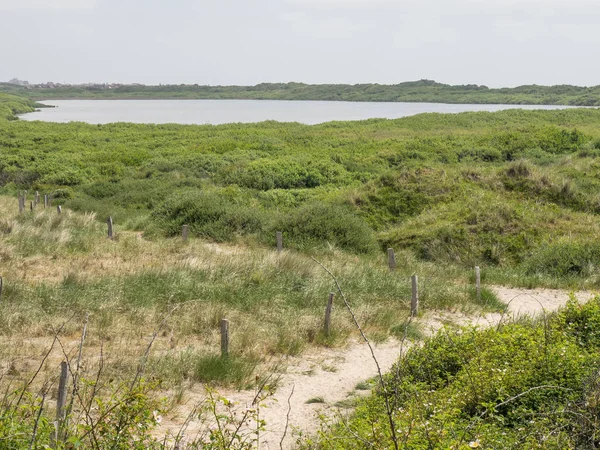 Isola Juist Nel Mare Del Nord — Foto Stock