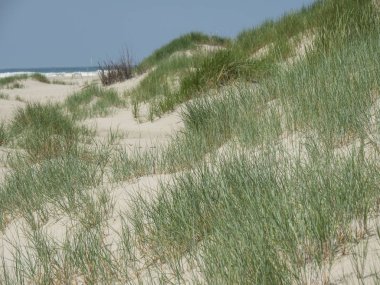 Kuzey denizindeki juist adası.