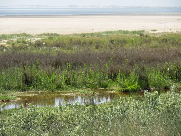Kuzey denizindeki juist adası.