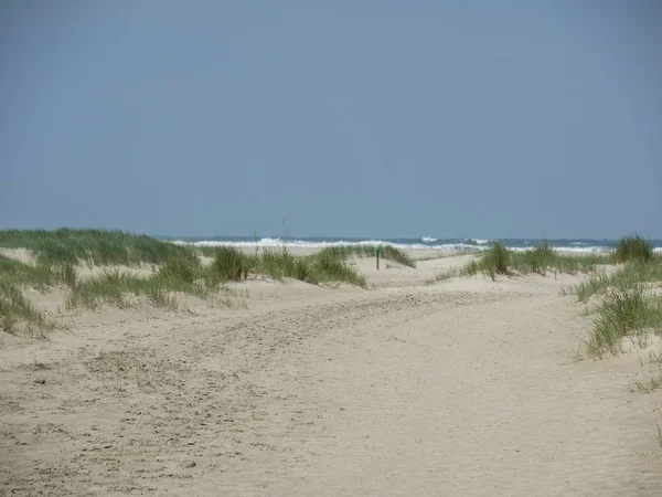 Kuzey denizindeki juist adası.