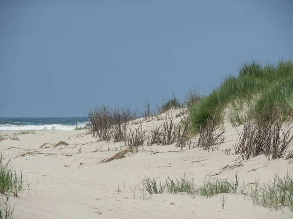 Kuzey denizindeki juist adası.