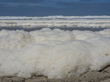 Kuzey denizindeki juist adası.