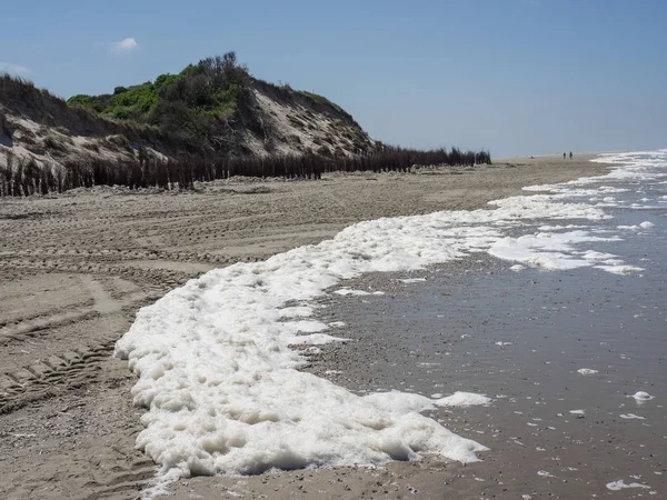 Kuzey denizindeki juist adası.