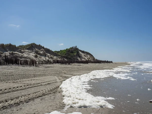 Kuzey denizindeki juist adası.