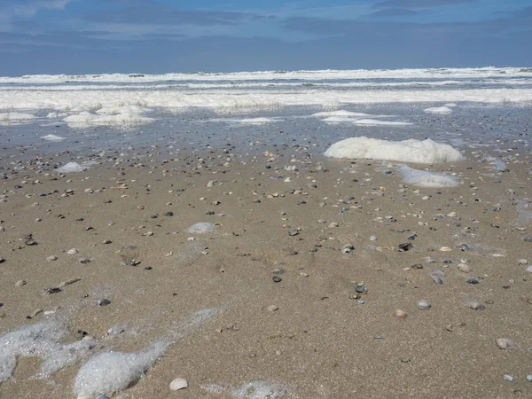 Kuzey denizindeki juist adası.