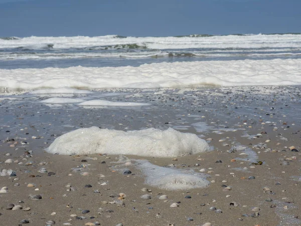 Kuzey denizindeki juist adası.