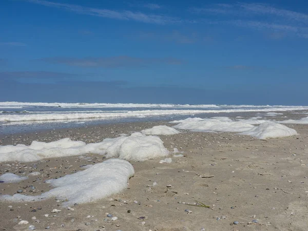 Kuzey denizindeki juist adası.