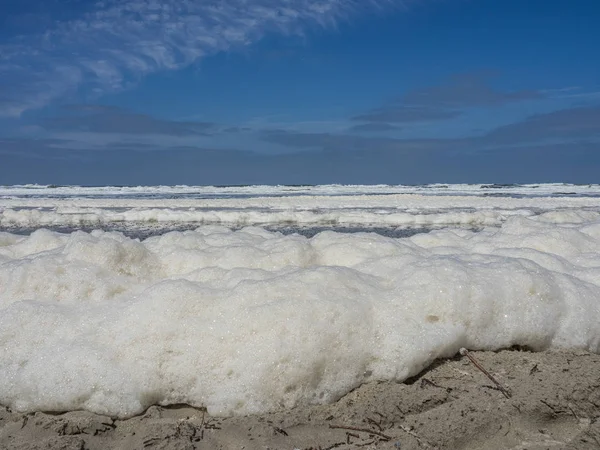 Kuzey denizindeki juist adası.