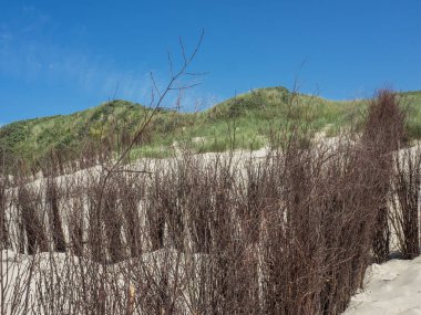 Kuzey denizindeki juist adası.
