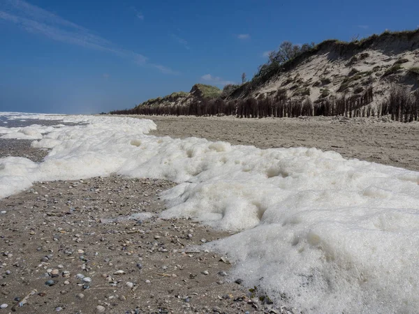 Kuzey denizindeki juist adası.