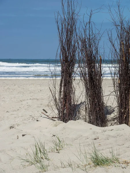 Kuzey denizindeki juist adası.