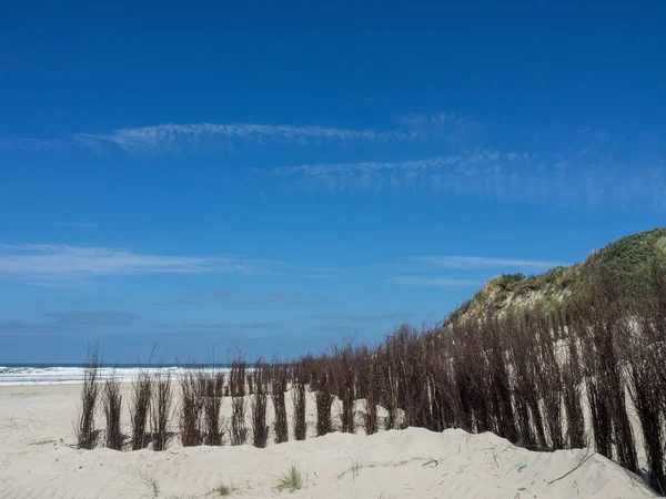 Kuzey denizindeki juist adası.