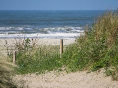 Kuzey denizindeki juist adası.