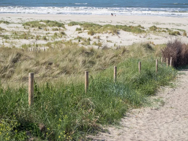 Kuzey denizindeki juist adası.