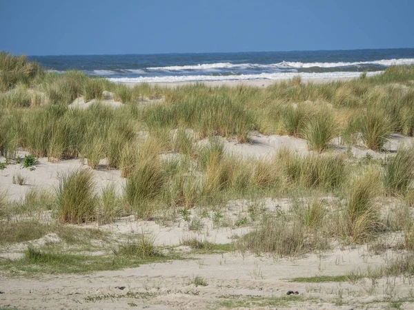 Kuzey denizindeki juist adası.