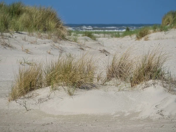 Île Juist Dans Mer Nord — Photo