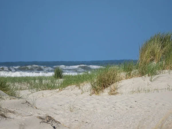 Kuzey denizindeki juist adası.