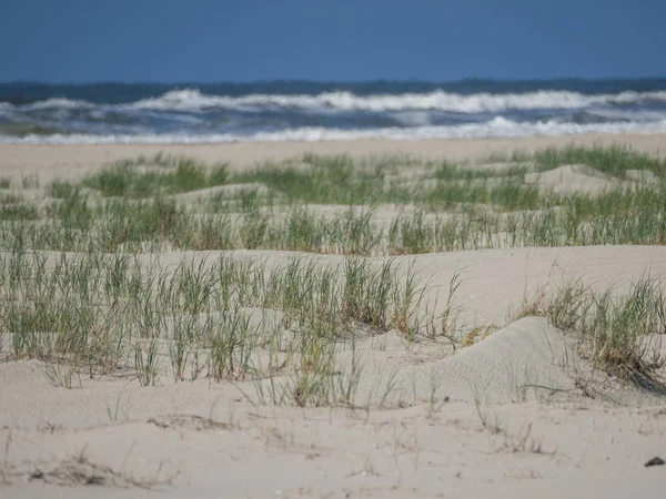 Kuzey denizindeki juist adası.