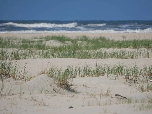 Kuzey denizindeki juist adası.
