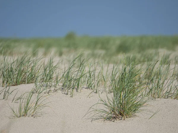 Kuzey denizindeki juist adası.