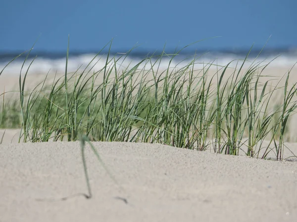 Isola Juist Nel Mare Del Nord — Foto Stock