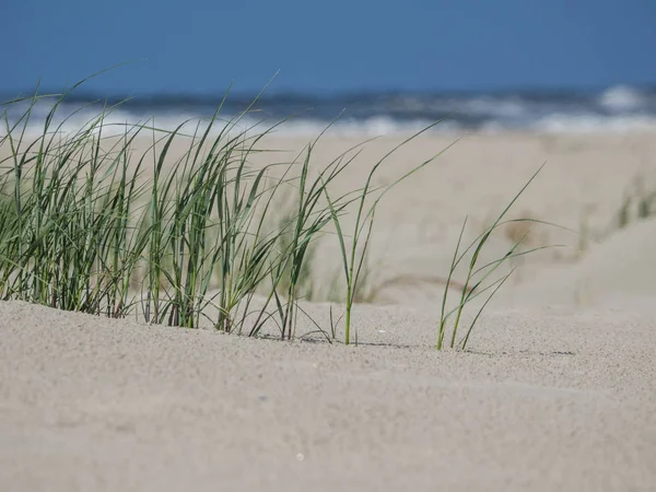 Kuzey denizindeki juist adası.