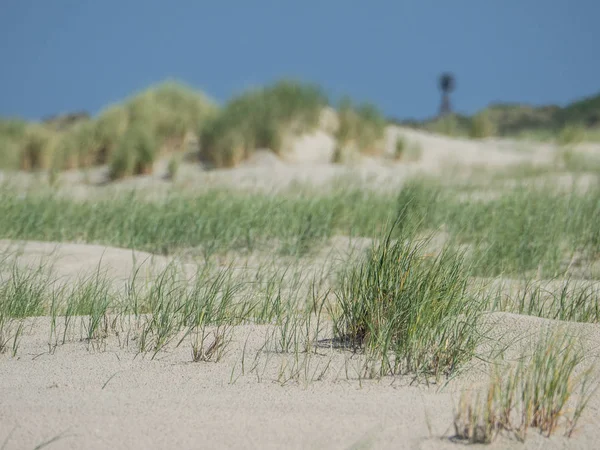 Kuzey denizindeki juist adası.
