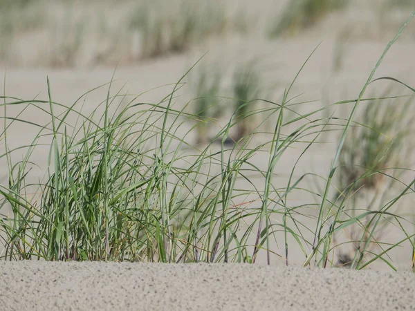 Kuzey denizindeki juist adası.